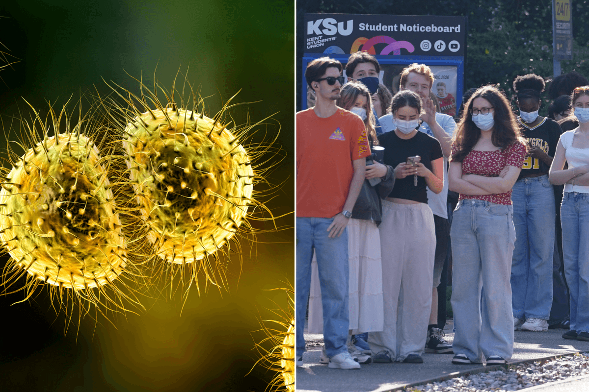 Meningitis outbreak bacteria may have mutated to gain 'additional superpowers' warn health officials as urgent probe launched