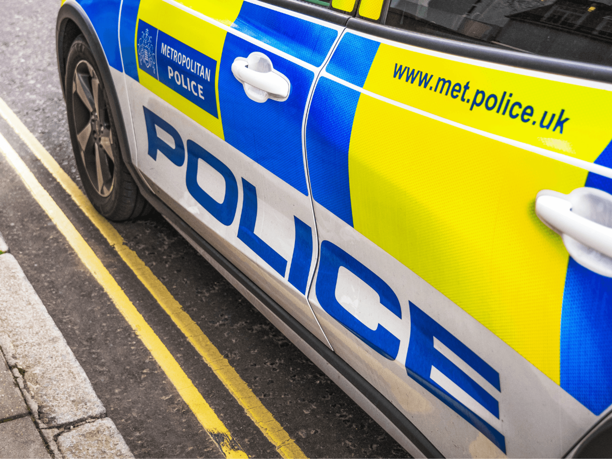 Elderly woman stabbed to death outside her own home in London as man 'known to victim' arrested