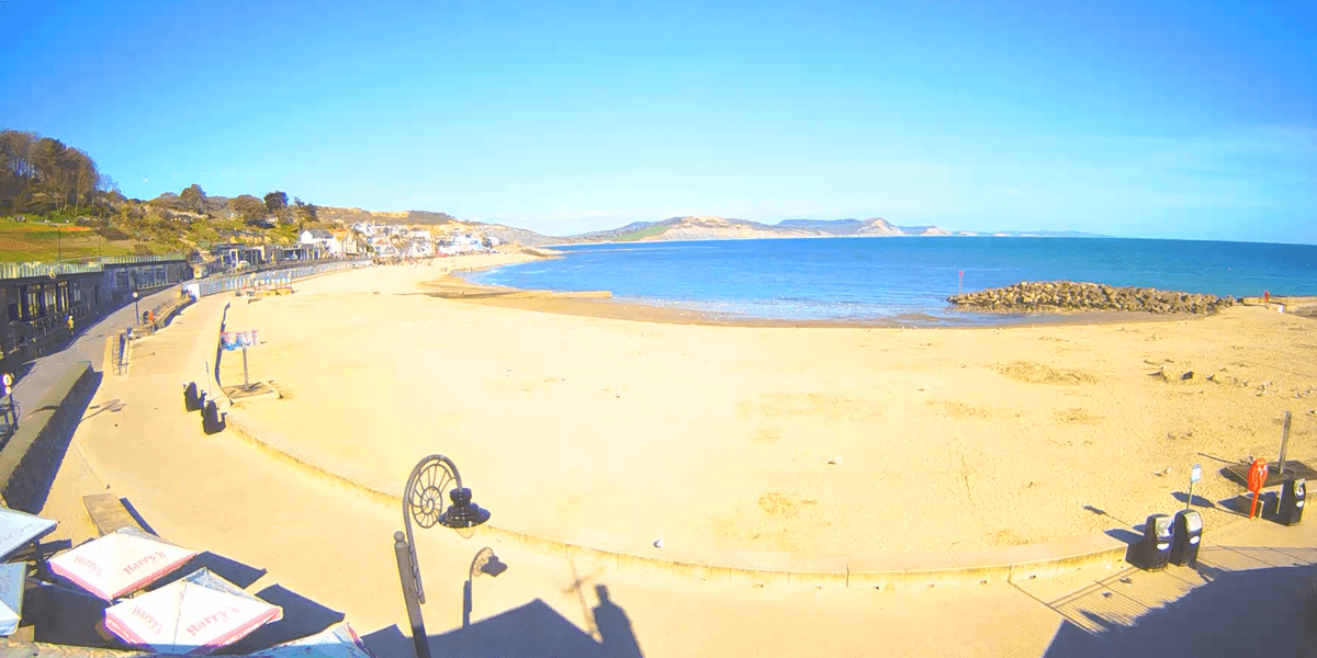 Lyme Regis beach closed after ‘bomb found’ as public told to avoid area Lyme Regis beach closed after ‘bomb found’ as public told to avoid area
