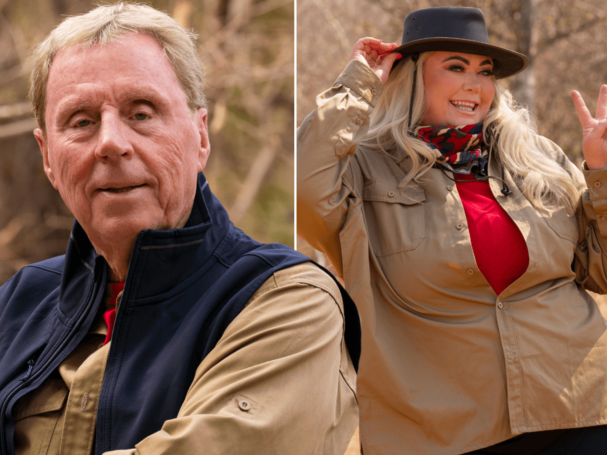 Harry Redknapp almost caused Gemma Collins to quit new ITV I'm A Celebrity series with unexpected remark