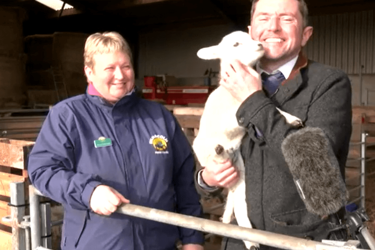 Watch adorable moment GB News reporter snuggles up with lamb in a special visit to Scottish farm