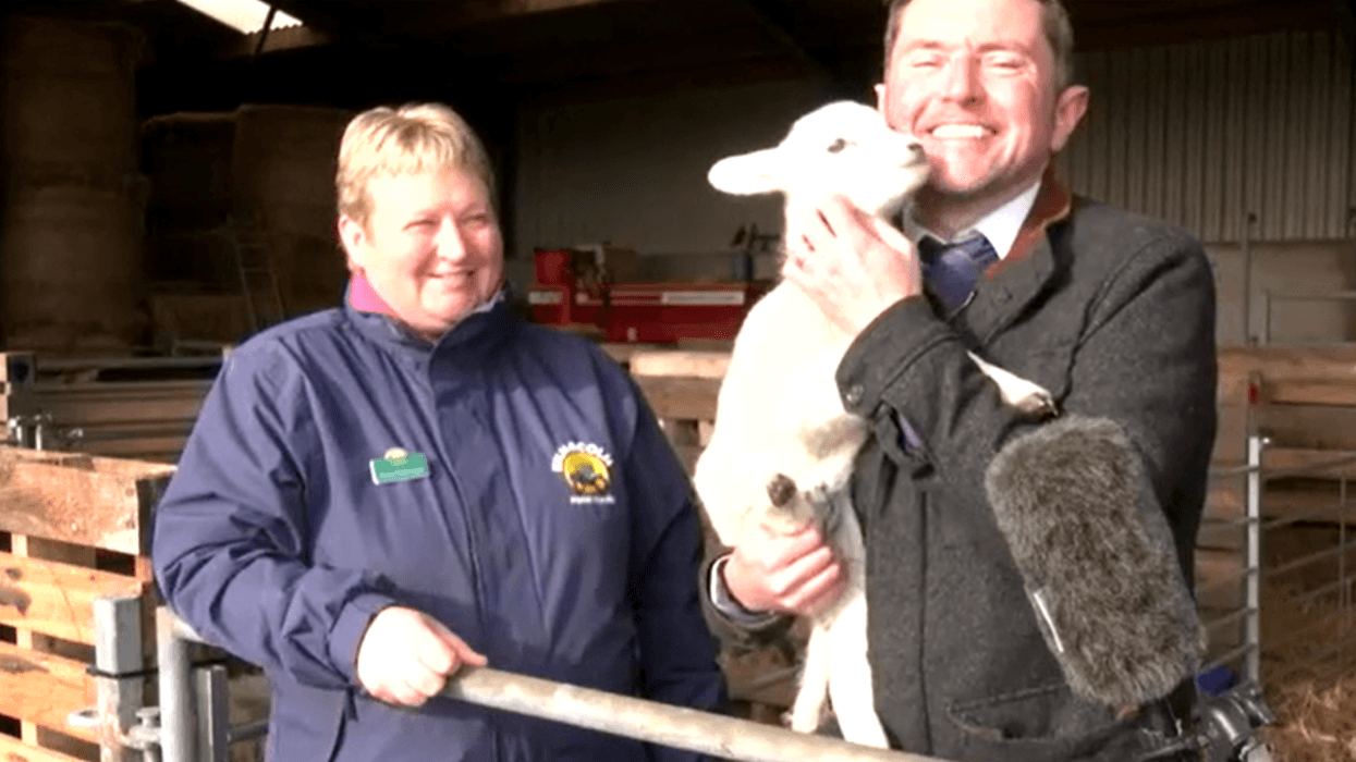 Watch adorable moment GB News reporter snuggles...