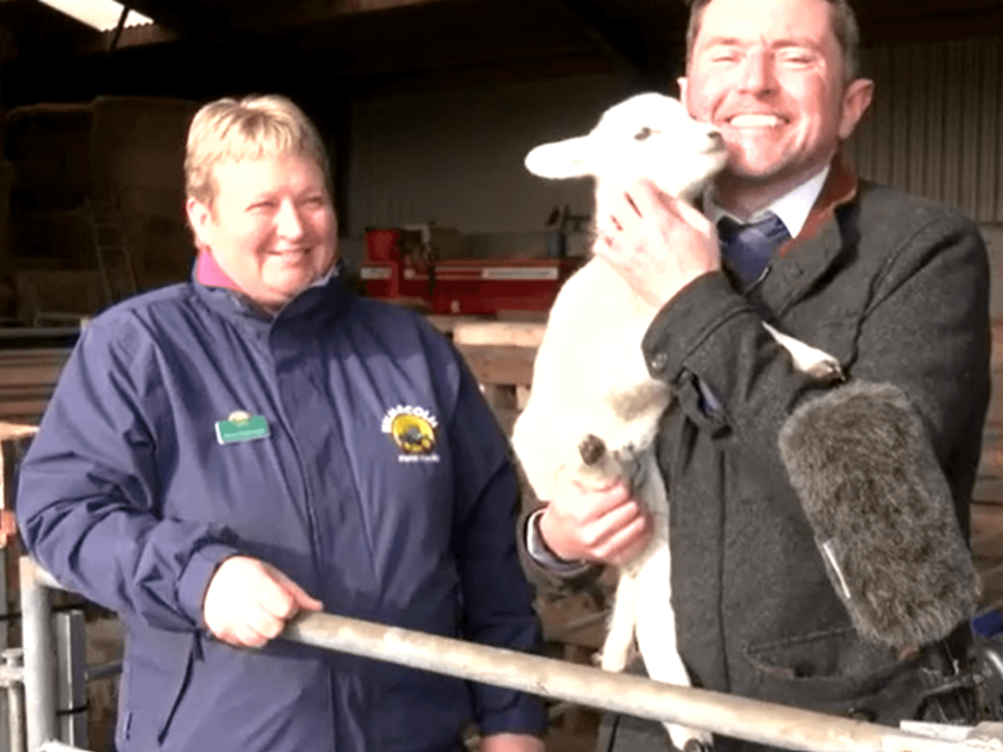 Watch adorable moment GB News reporter snuggles up with lamb in a special visit to Scottish farm