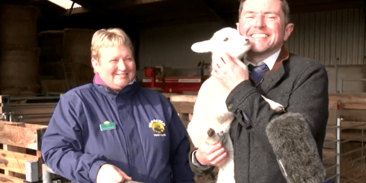 Watch adorable moment GB News reporter snuggles up with lamb in a special visit to Scottish farm Watch adorable moment GB News reporter snuggles up with lamb in a special visit to Scottish farm