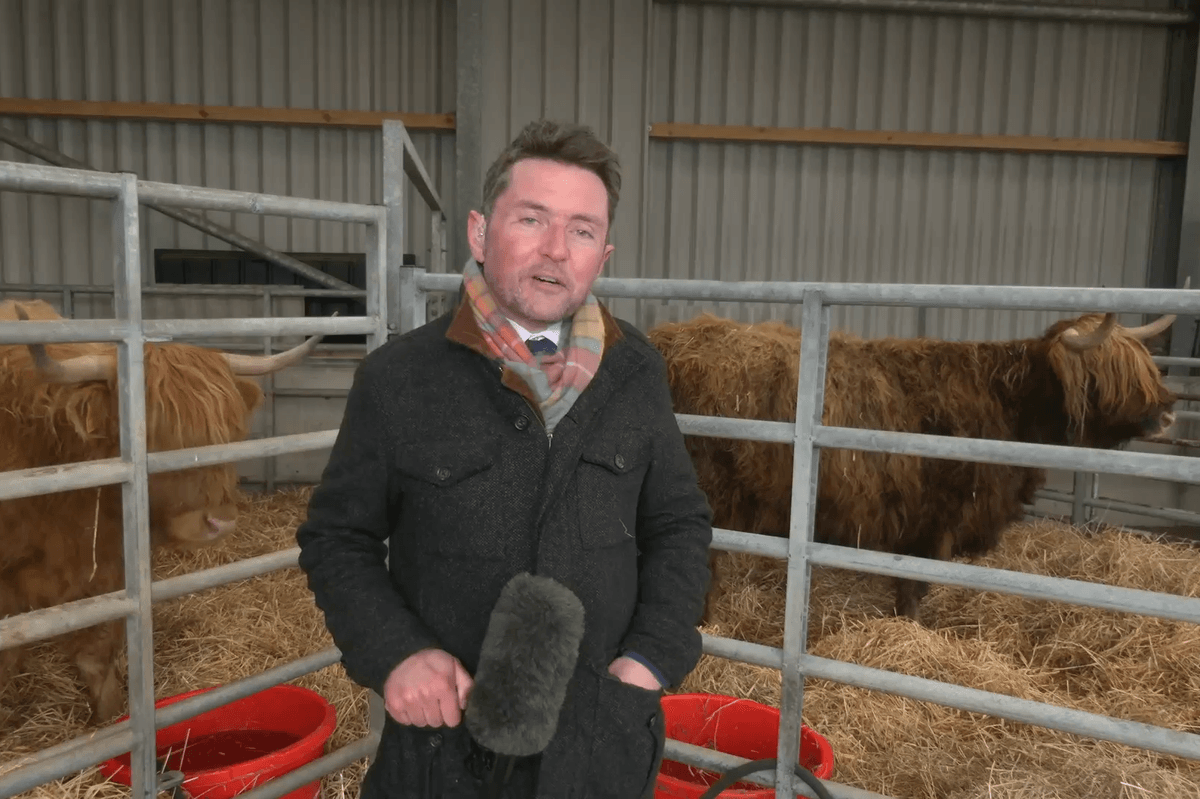 WATCH: Tony McGuire is joined by Highland Cows Monica and Rua as he visits the award-winning Muirhouse Farm