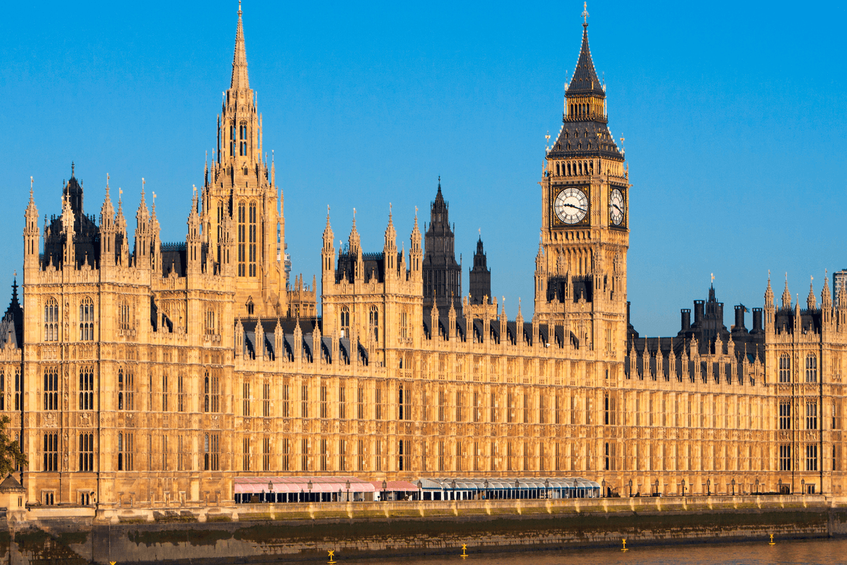 Grooming gang victim 'smuggled into Parliament by abusers and presented to senior politician for sex’