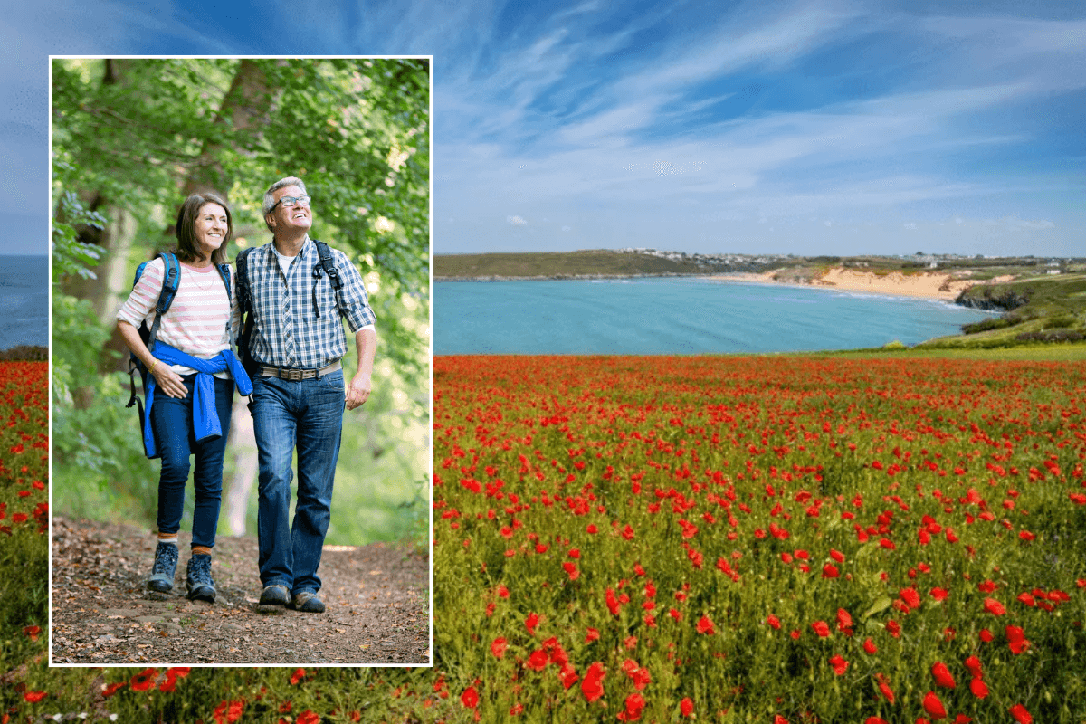 England's most colourful walking trails with vibrant floral displays that come alive in April