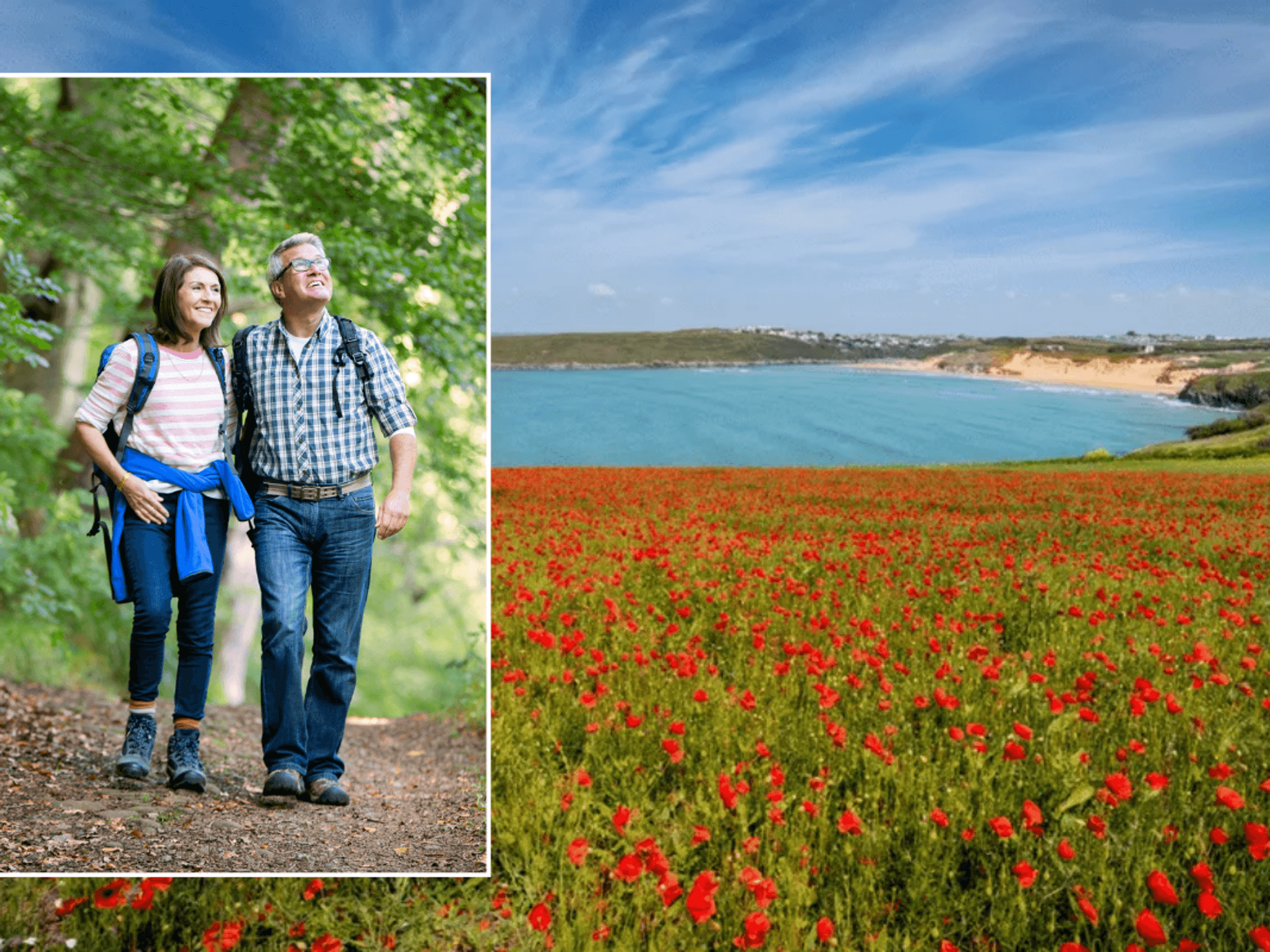England's most colourful walking trails with vibrant floral displays that come alive in April