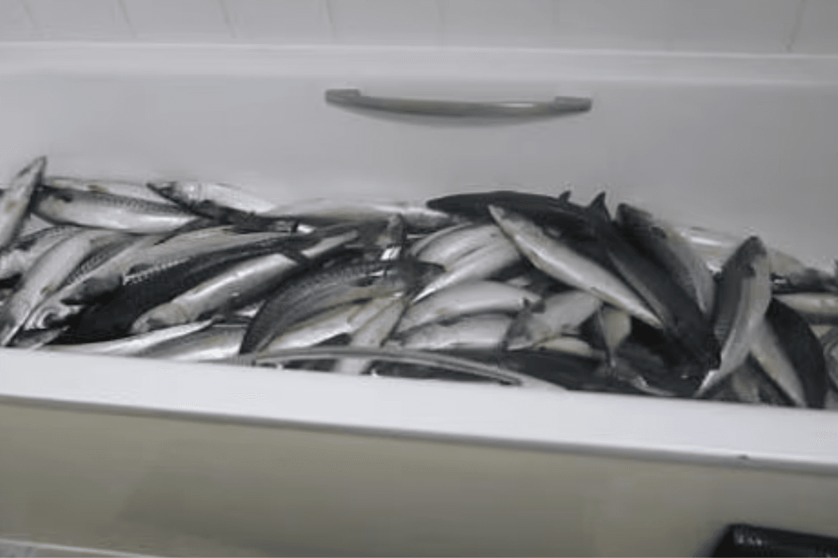 'Disgusting!' Chef kept fish in his bathtub before selling them to supermarkets in ready meals
