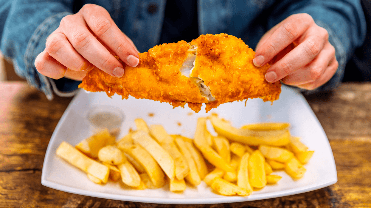 Britons urged to ‘completely avoid’ eating cod as population plummets to critically low levels