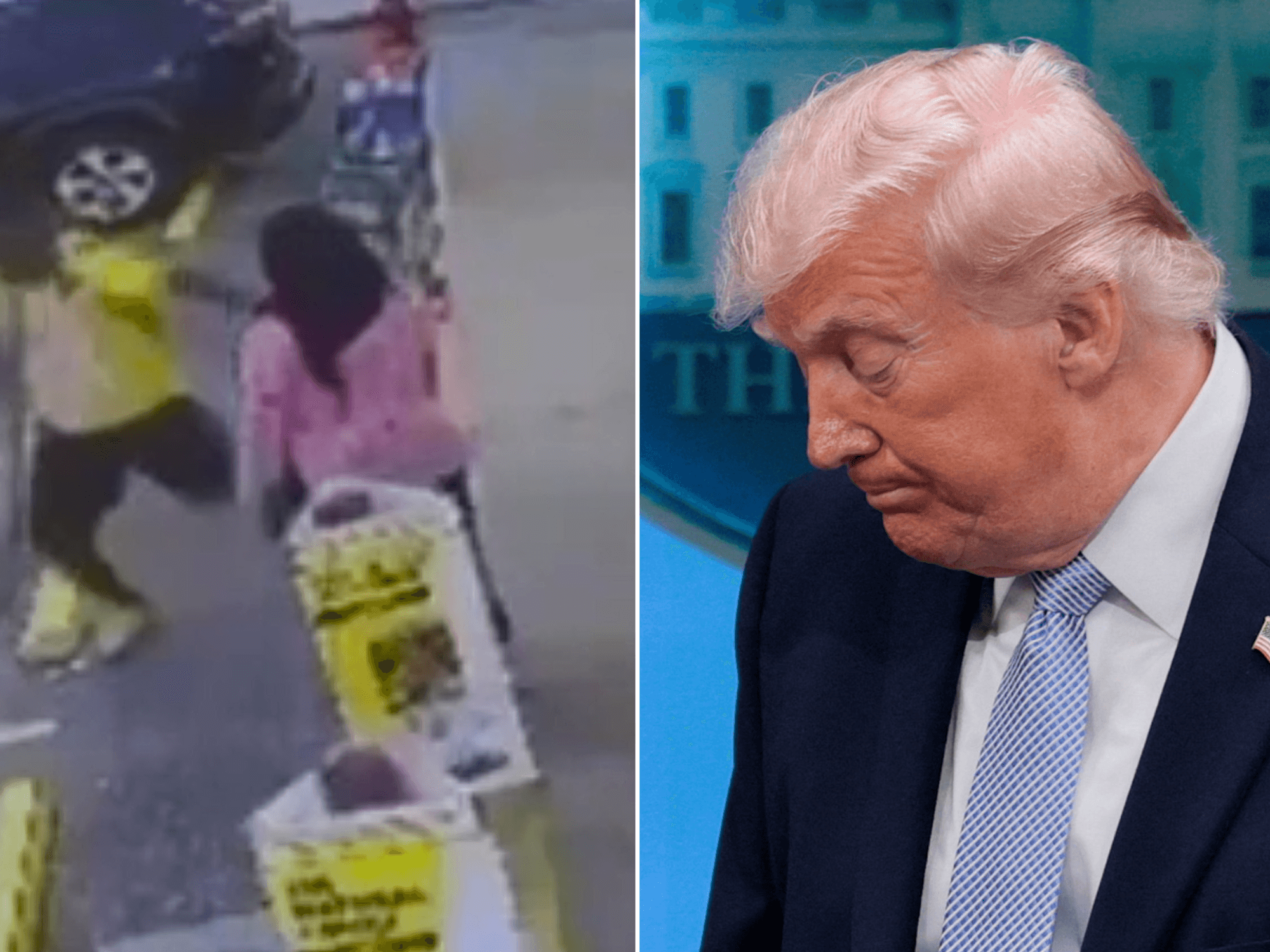 'Import the third world, become the third world,' warns Donald Trump after illegal migrant beats ...