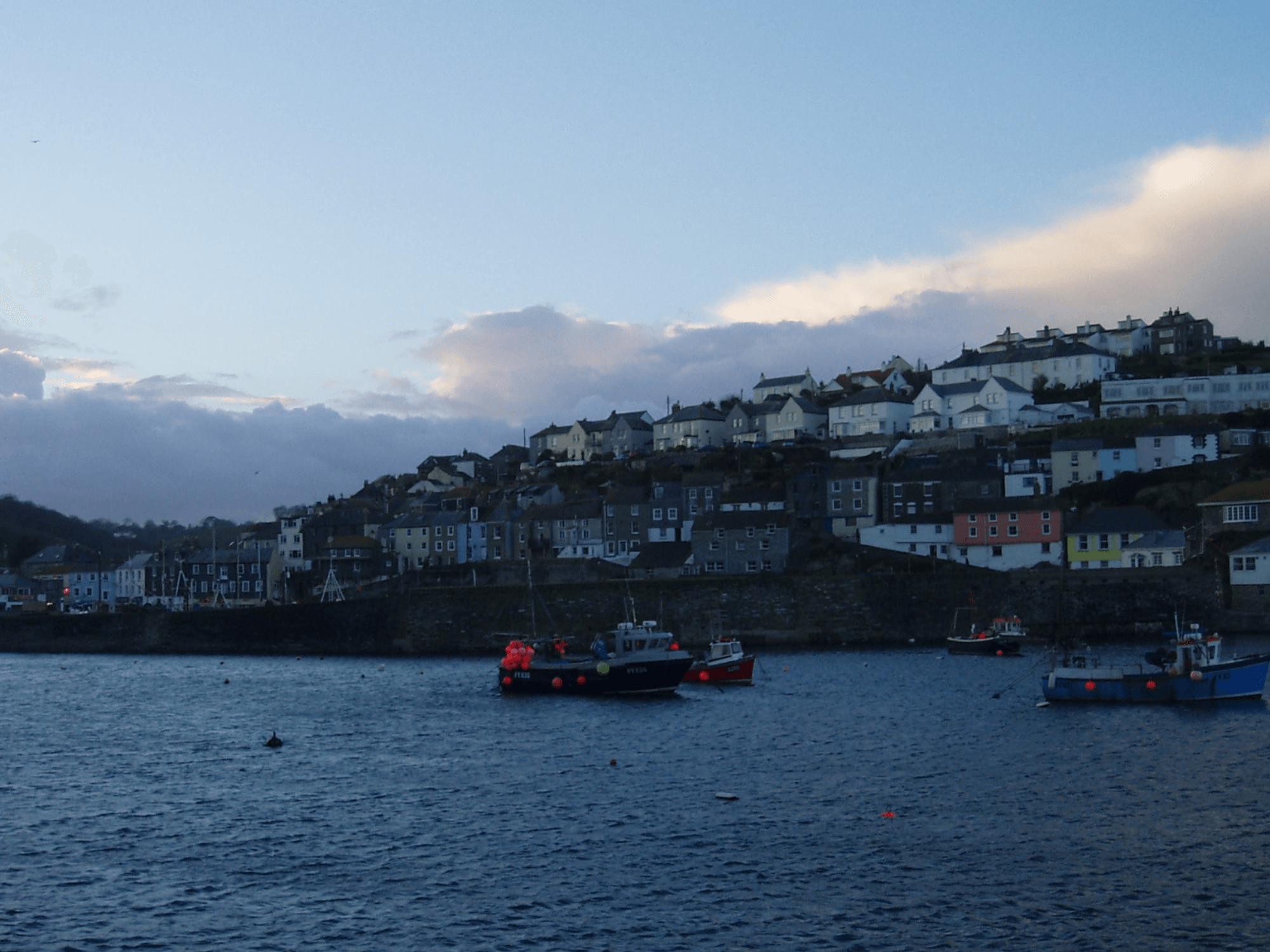 Neighbours on clifftop 'millionaire's row' fume in planning row to build eight new houses