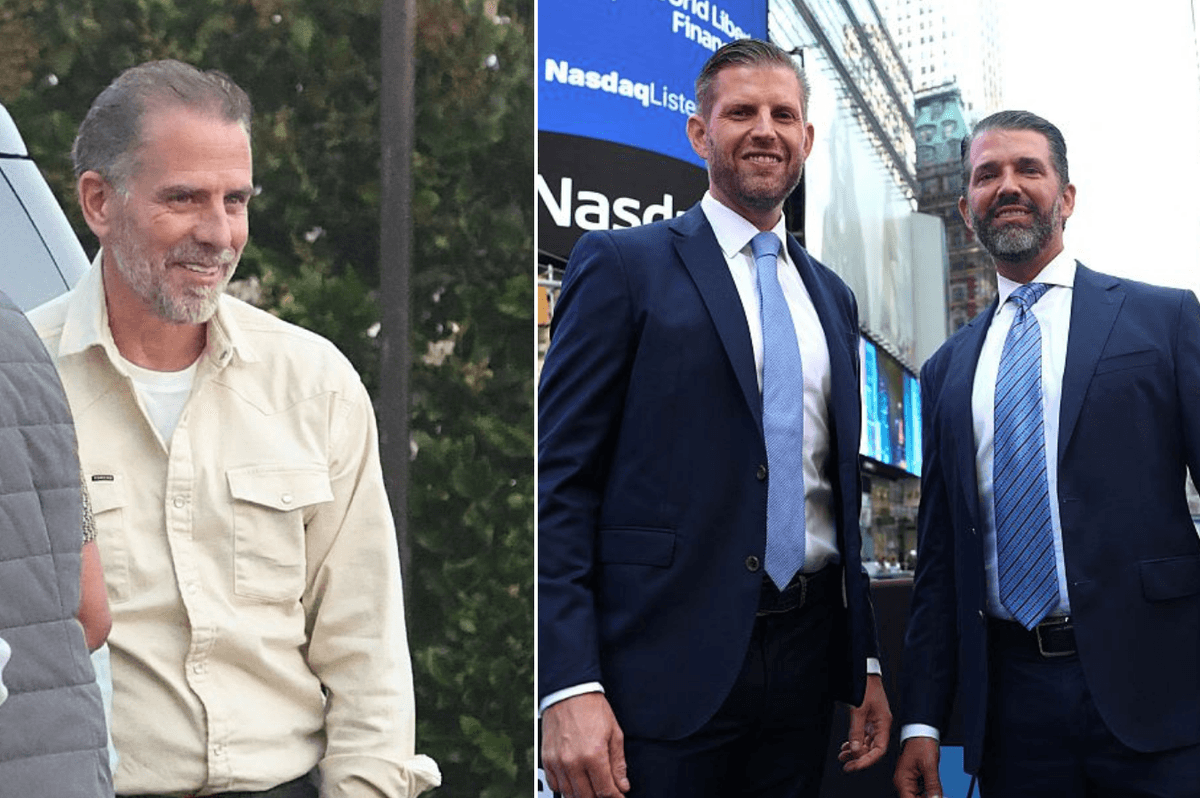 Joe Biden's son Hunter challenges Donald Jr and Eric Trump to cage fight