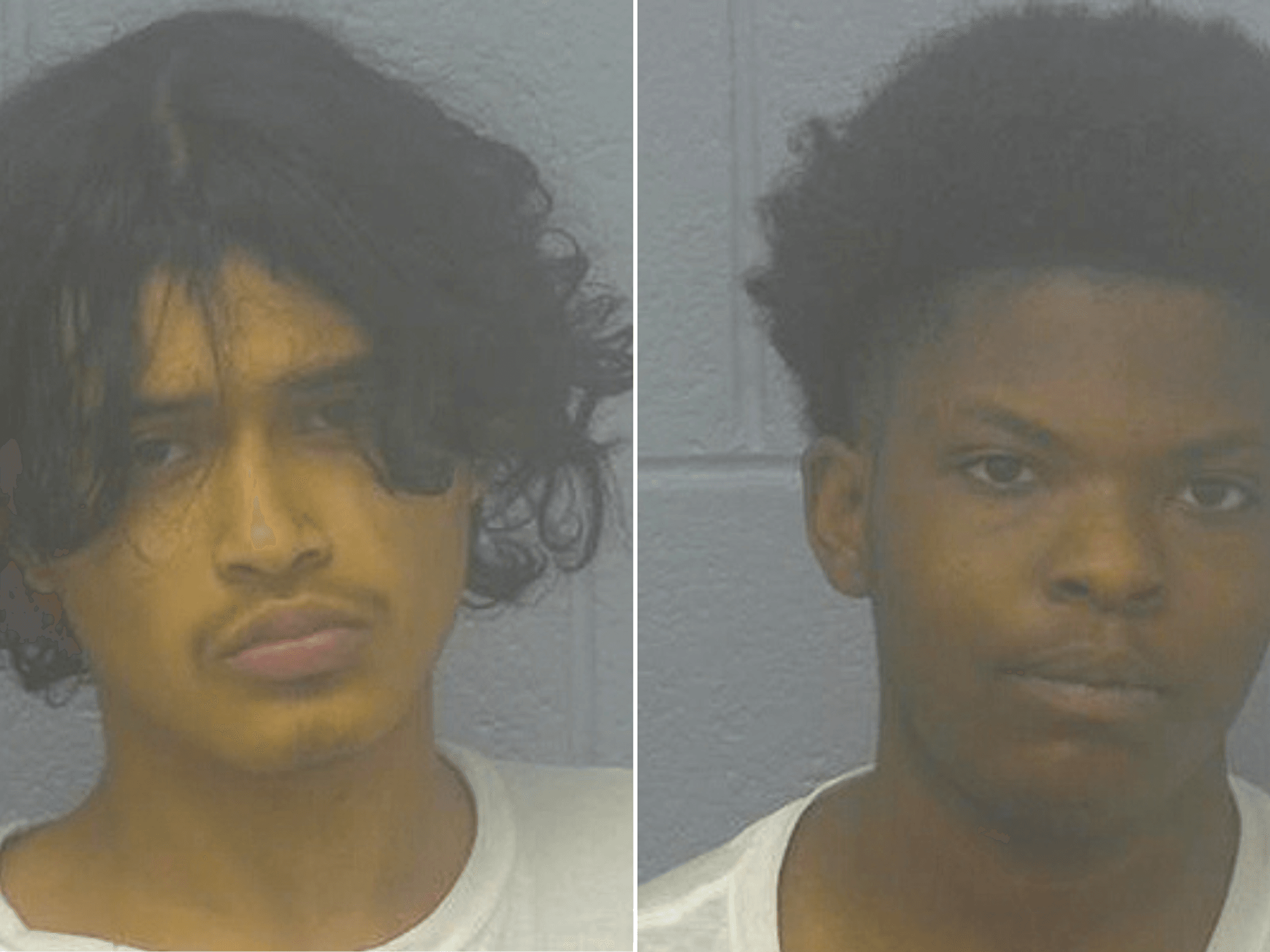 Schoolboy, 15, 'begged for his life before being executed by illegal migrant' in Missouri