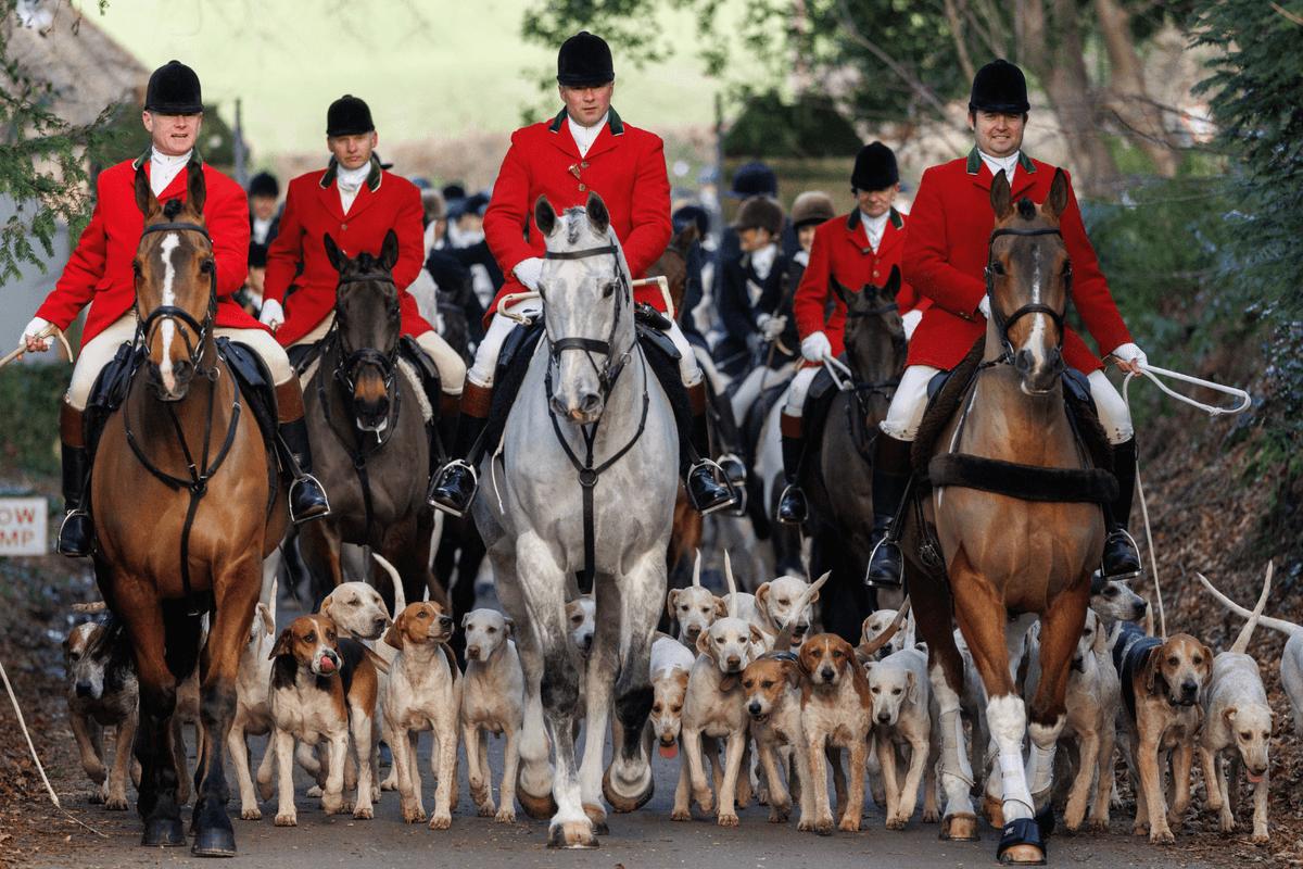 Thousands of jobs - and dogs - at risk from Labour's latest assault on British countryside