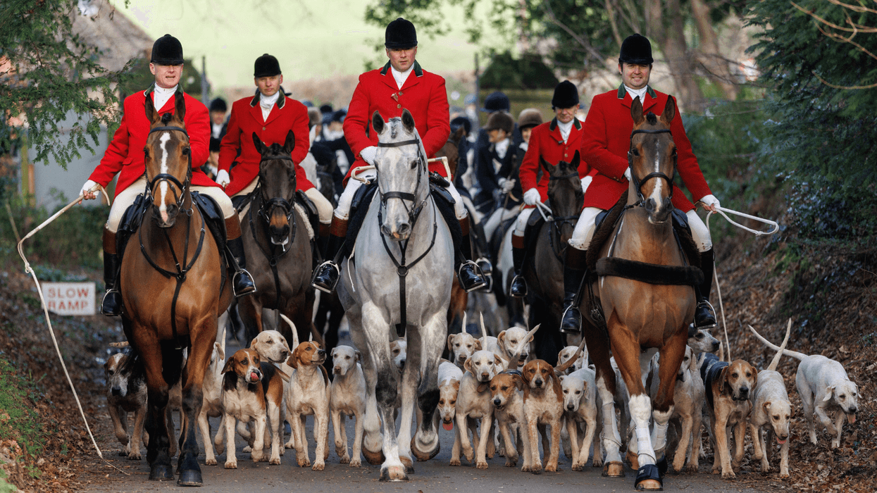 Thousands of jobs - and dogs - at risk from Labour's latest assault on British countryside