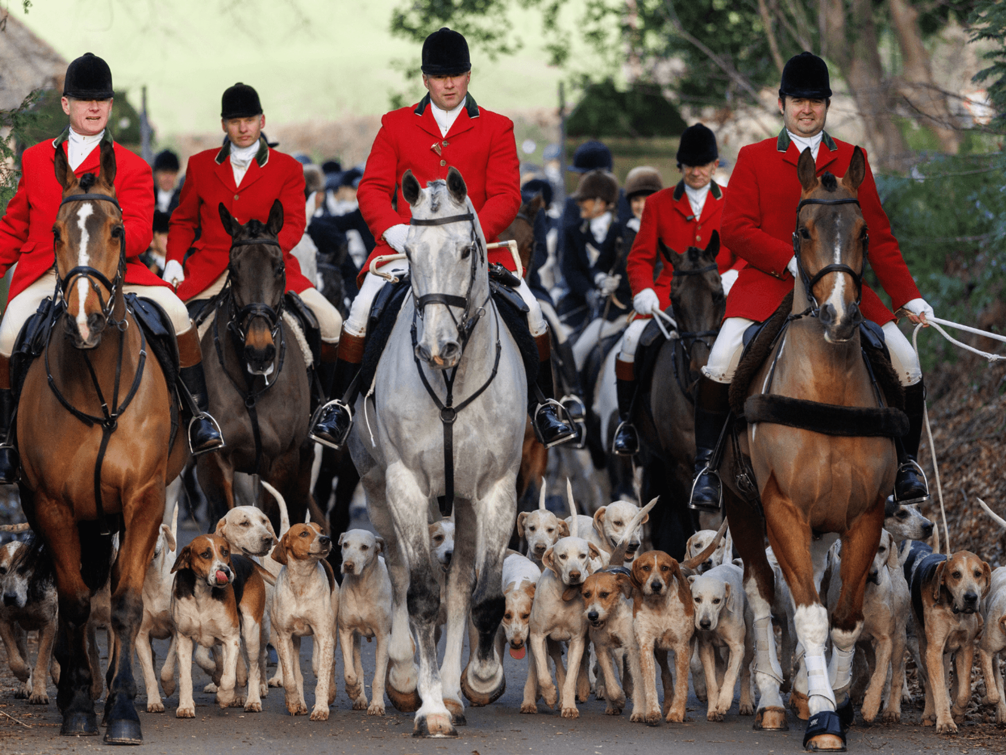 Thousands of jobs - and dogs - at risk from Labour's latest assault on British countryside