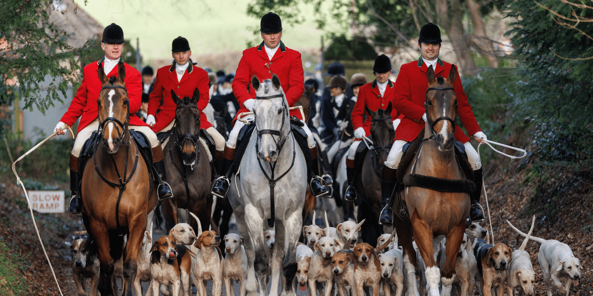 Trail hunting ban: Thousands of jobs – and dogs Trail hunting ban: Thousands of jobs – and dogs