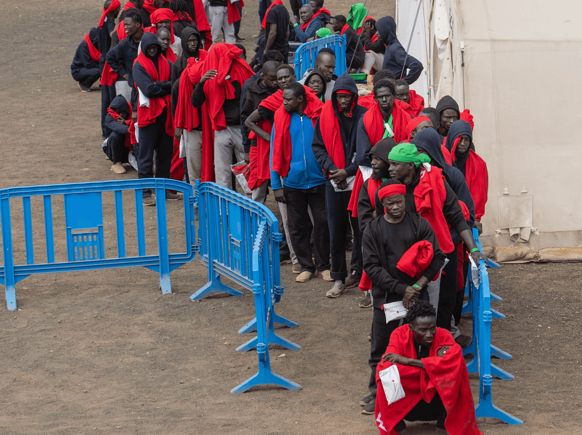 Granting 500,000 migrants amnesty is an act of civilisational terrorism that ignores alarming dat...