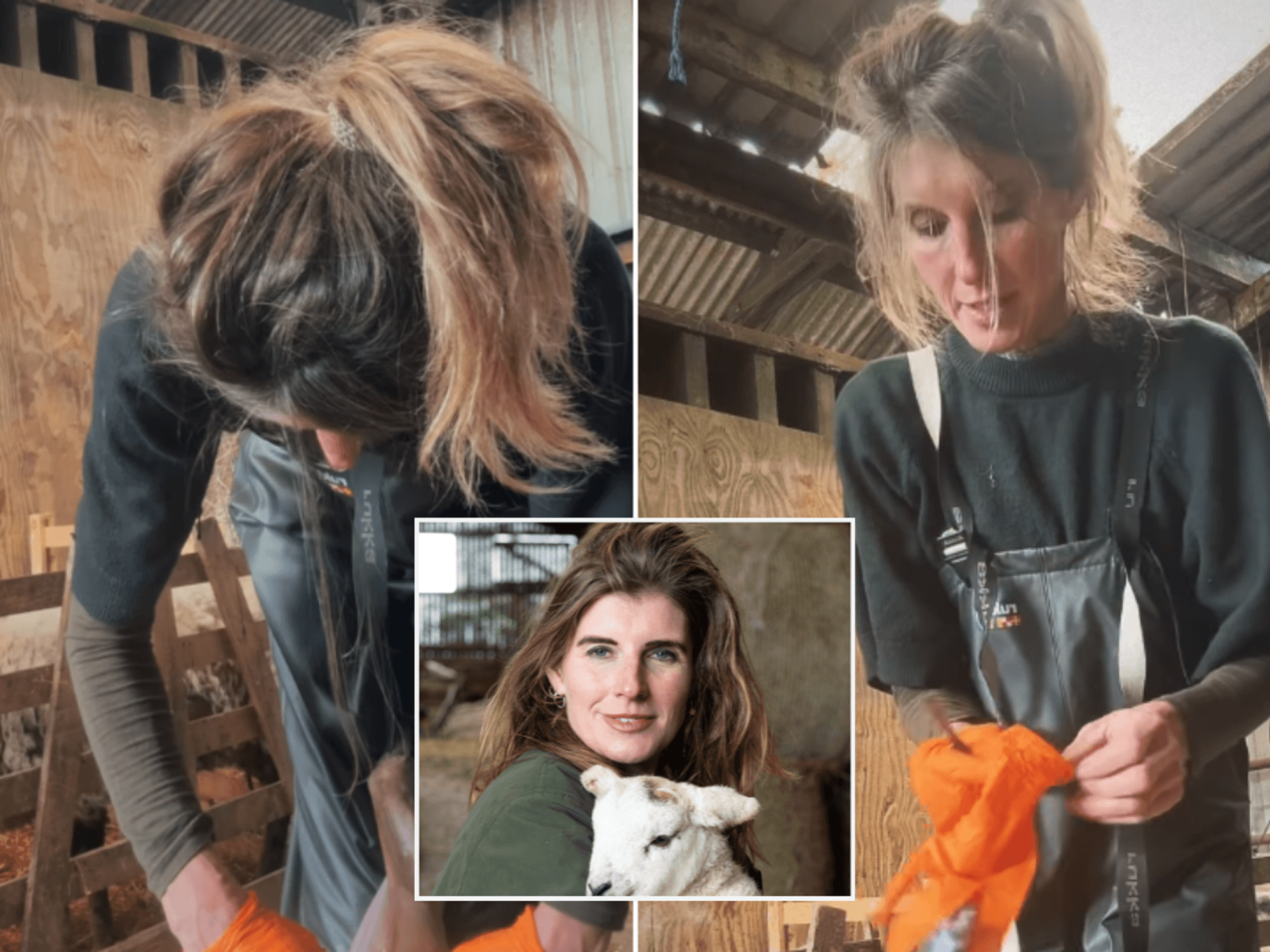 Amanda Owen backlash erupts over ‘graphic’ lamb video: ‘You should be ashamed!’