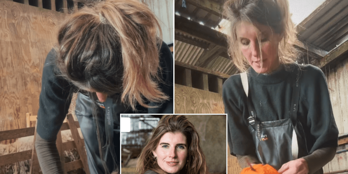 Amanda Owen backlash erupts over ‘graphic’ lamb video: ‘You should be ashamed!’ Amanda Owen backlash erupts over ‘graphic’ lamb video: ‘You should be ashamed!’