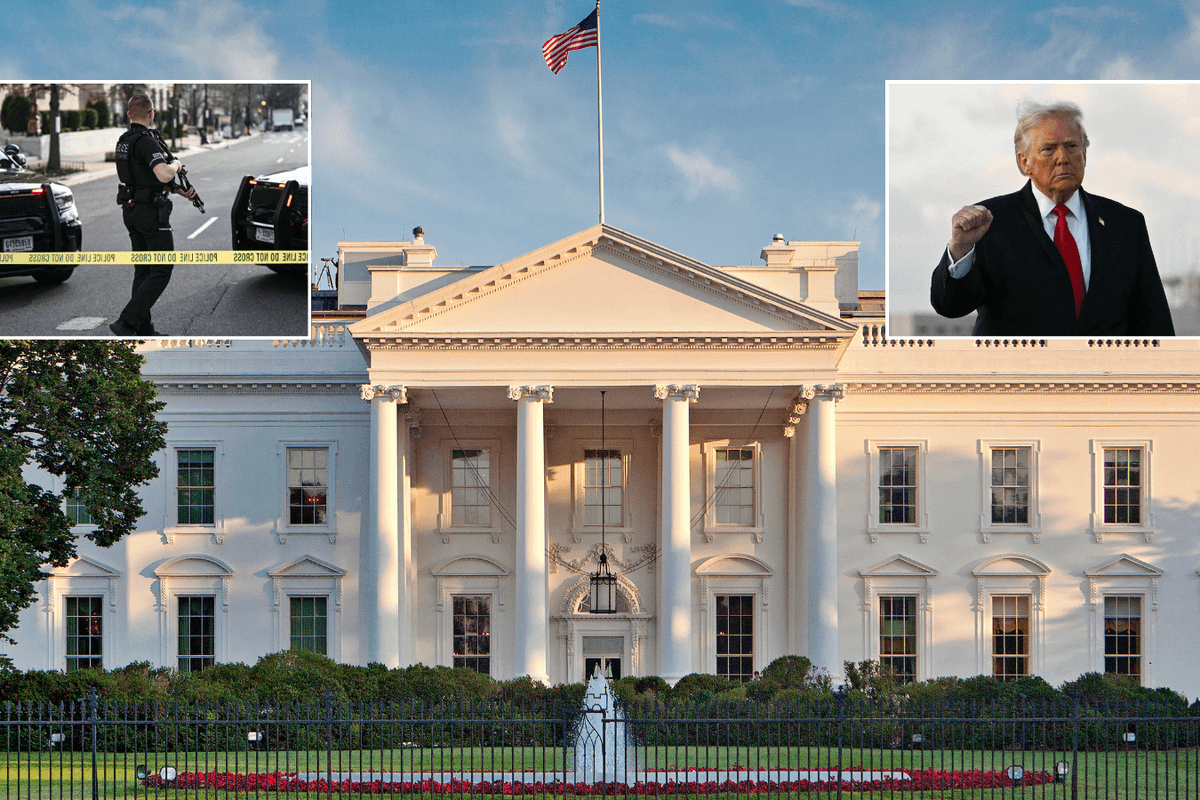 Man tackled to the ground after attempting to break into White House - with Donald Trump inside