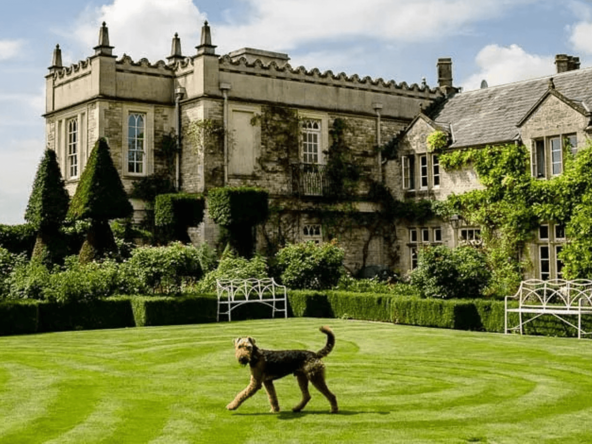 Wedding venue on 450-acre estate banned from using brass bands after faraway neighbours file nois...