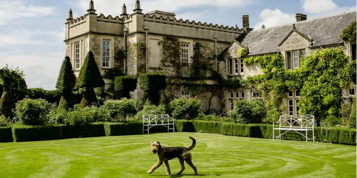 Planning row erupts as wedding venue on 450-acre estate banned from using brass bands after faraway neighbours filed noise complaints Planning row erupts as wedding venue on 450-acre estate banned from using brass bands after faraway neighbours filed noise complaints