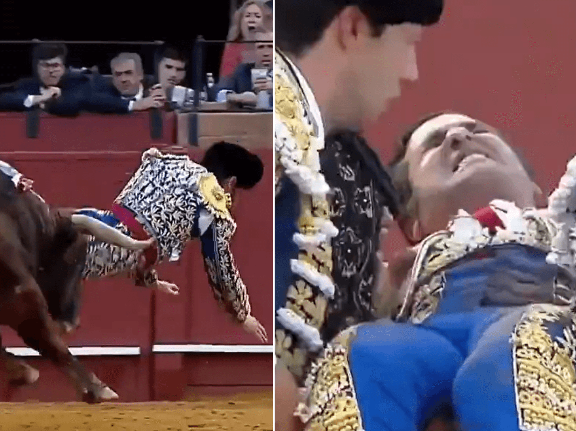 Spain's most celebrated matador is gored by bull just minutes after retirement comeback