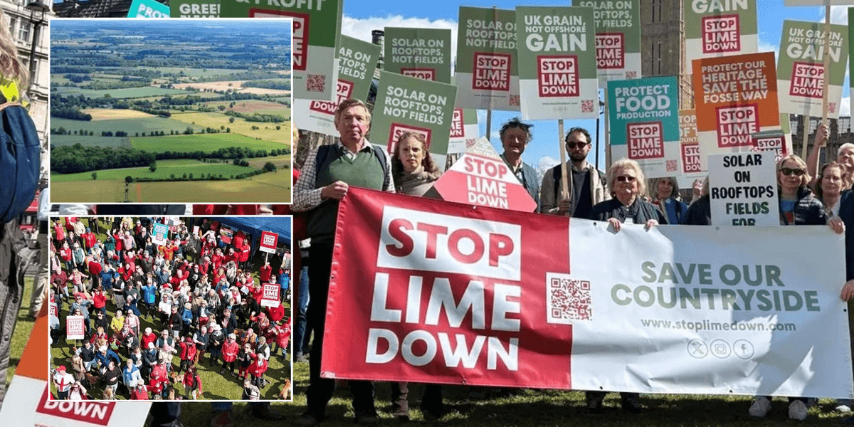 Planning row erupts as thousands protest against huge solar farm over fears it will destroy ‘beautiful’ English countryside Planning row erupts as thousands protest against huge solar farm over fears it will destroy ‘beautiful’ English countryside