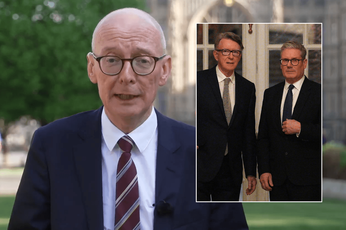 Pat McFadden gives two reasons why Keir Starmer rushed through Peter Mandelson appointment amid vetting fury