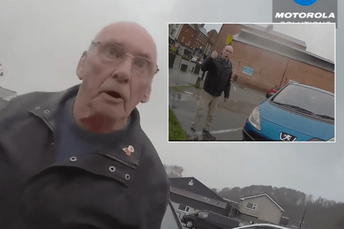 Watch the moment furious 77-year-old slaps traffic warden and threatens to 'lump' her