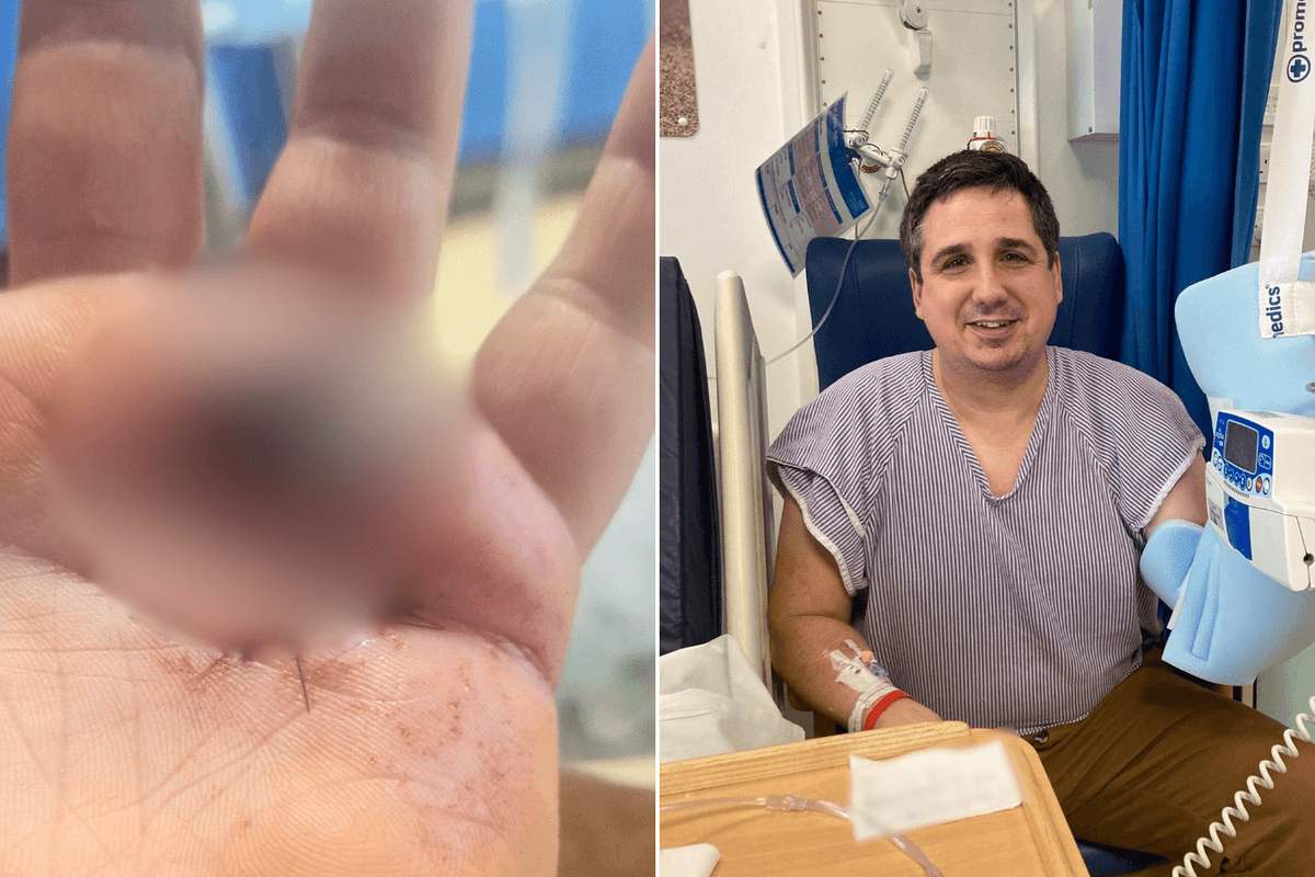 Briton hospitalised after being POISONED while out picking berries in bid to brew homemade gin