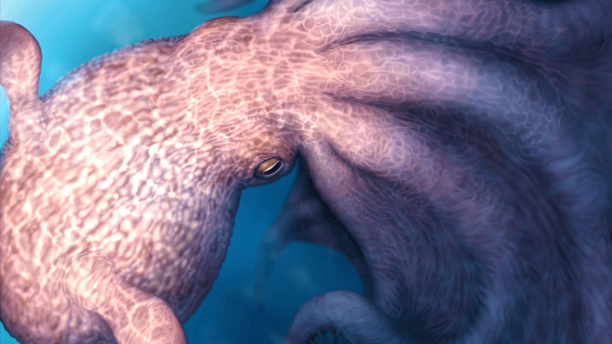 The kraken was REAL say scientists after remains of prehistoric predator the size of two London buses are found