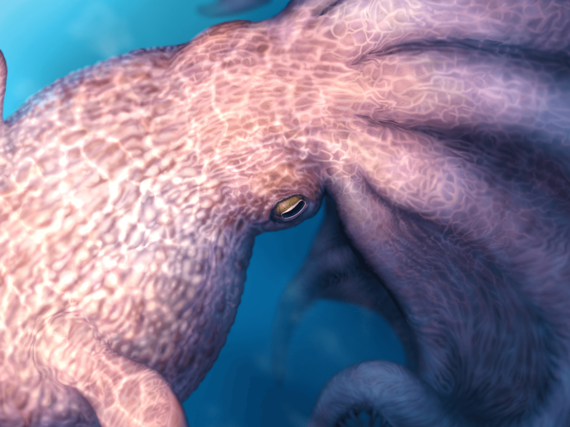 The kraken was REAL say scientists after remains of prehistoric predator the size of two London b...