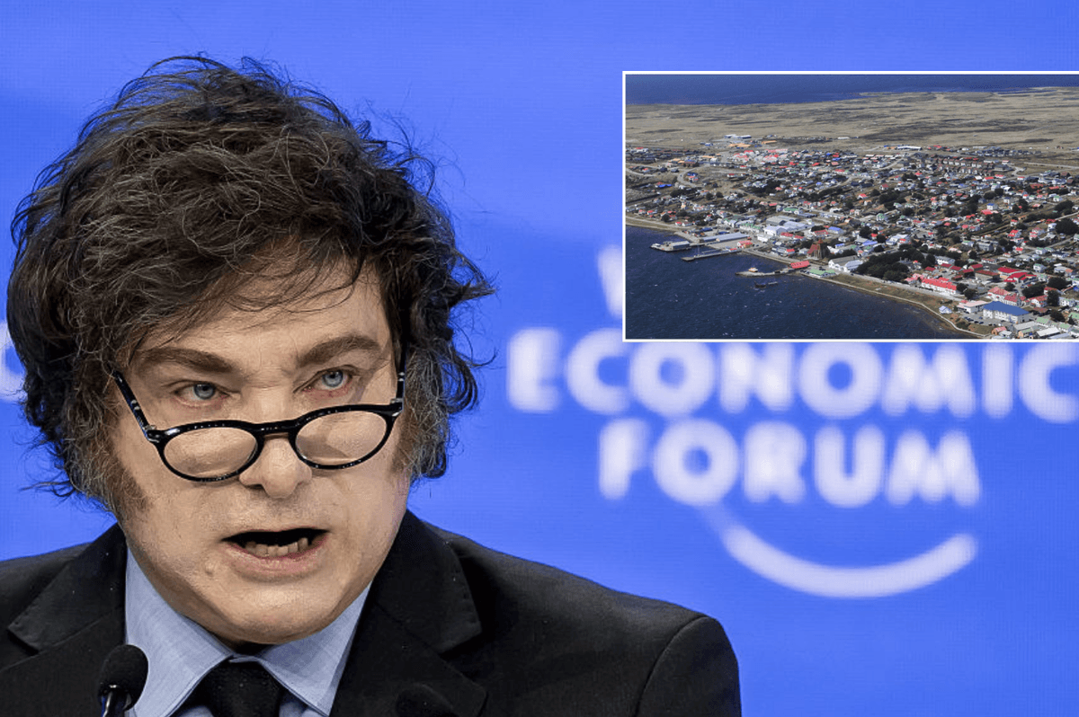 Javier Milei hails 'progress' in capturing Falklands as he says 'we are doing everything possible to bring them back into Argentine hands'