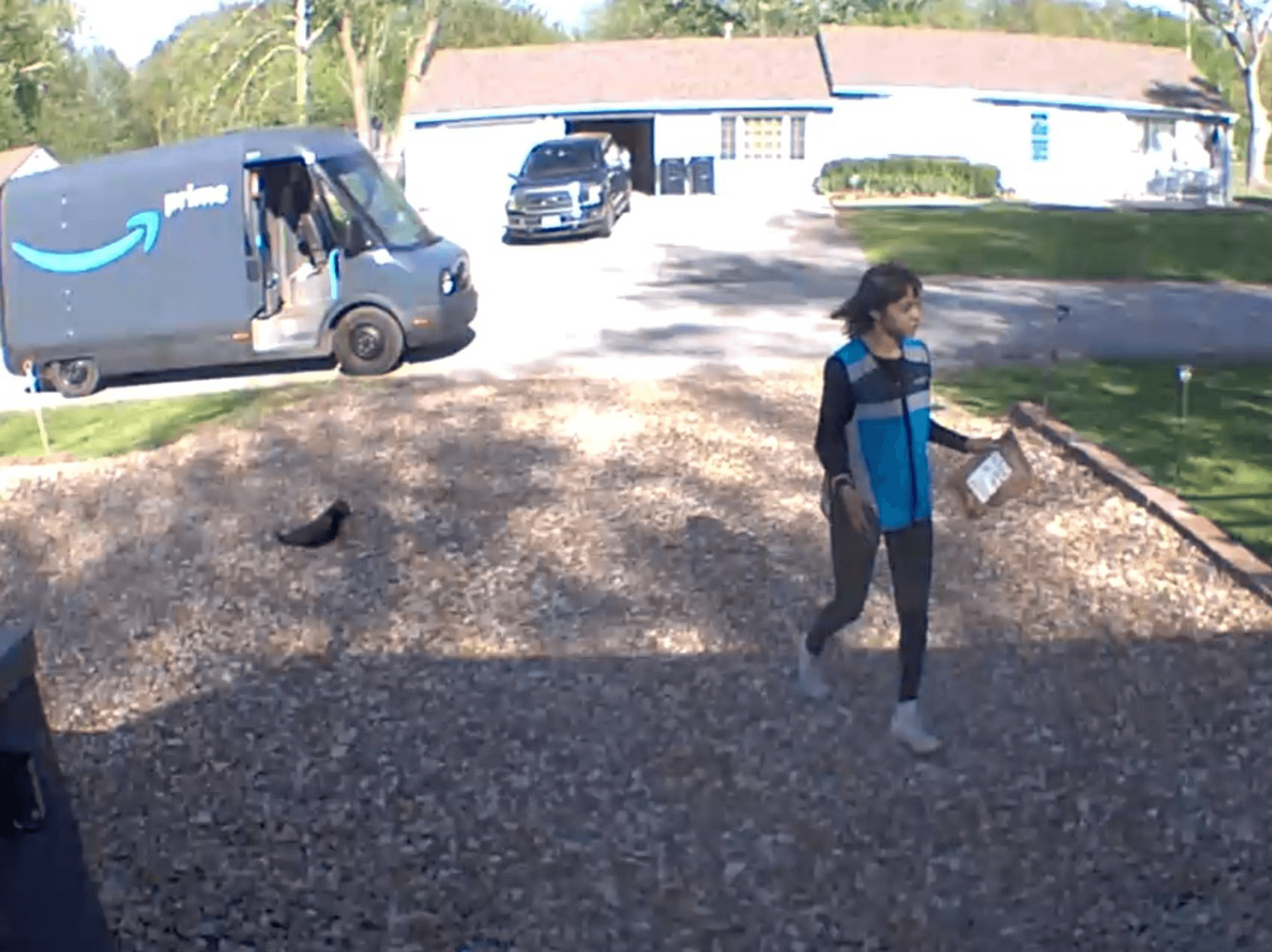 Amazon driver 'steals' elderly cat during delivery as family calls for company to be 'held accountable'