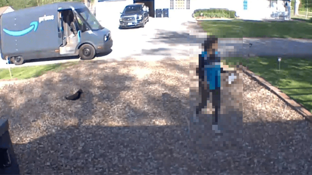 Amazon driver 'steals' elderly cat during delivery as family calls for company to be 'held accountable'