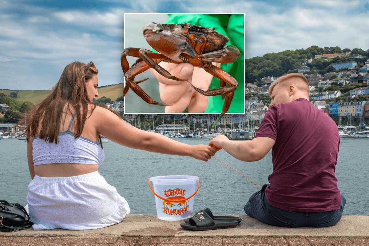 RSPCA demands much-loved seaside tradition be scrapped because it is not 'compassionate'