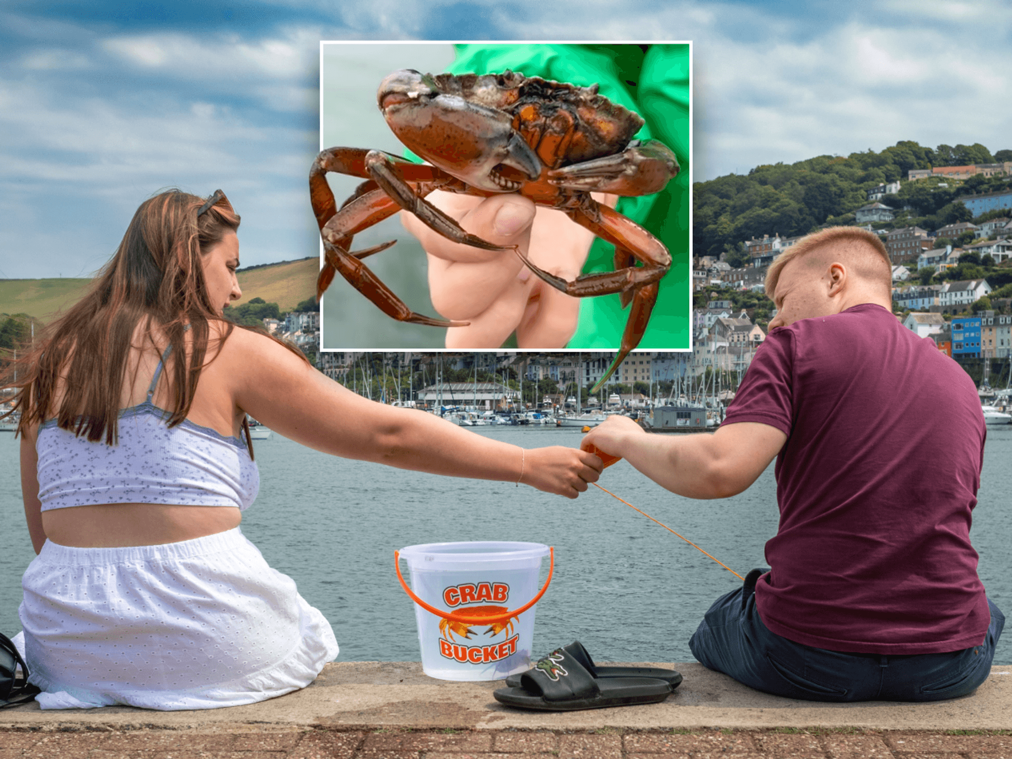 RSPCA demands much-loved seaside tradition be scrapped because it isn't 'compassionate'