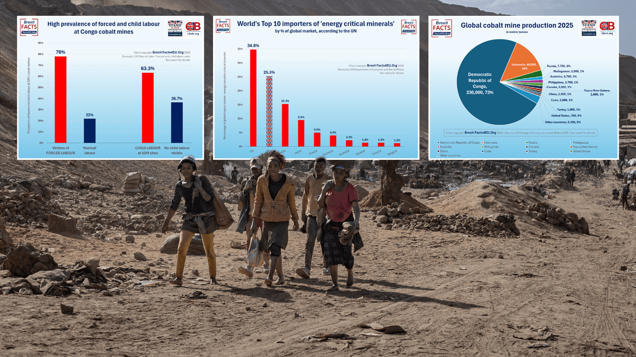 The dark truth about the green revolution: From forced child labour and deaths to 'silent cartels'