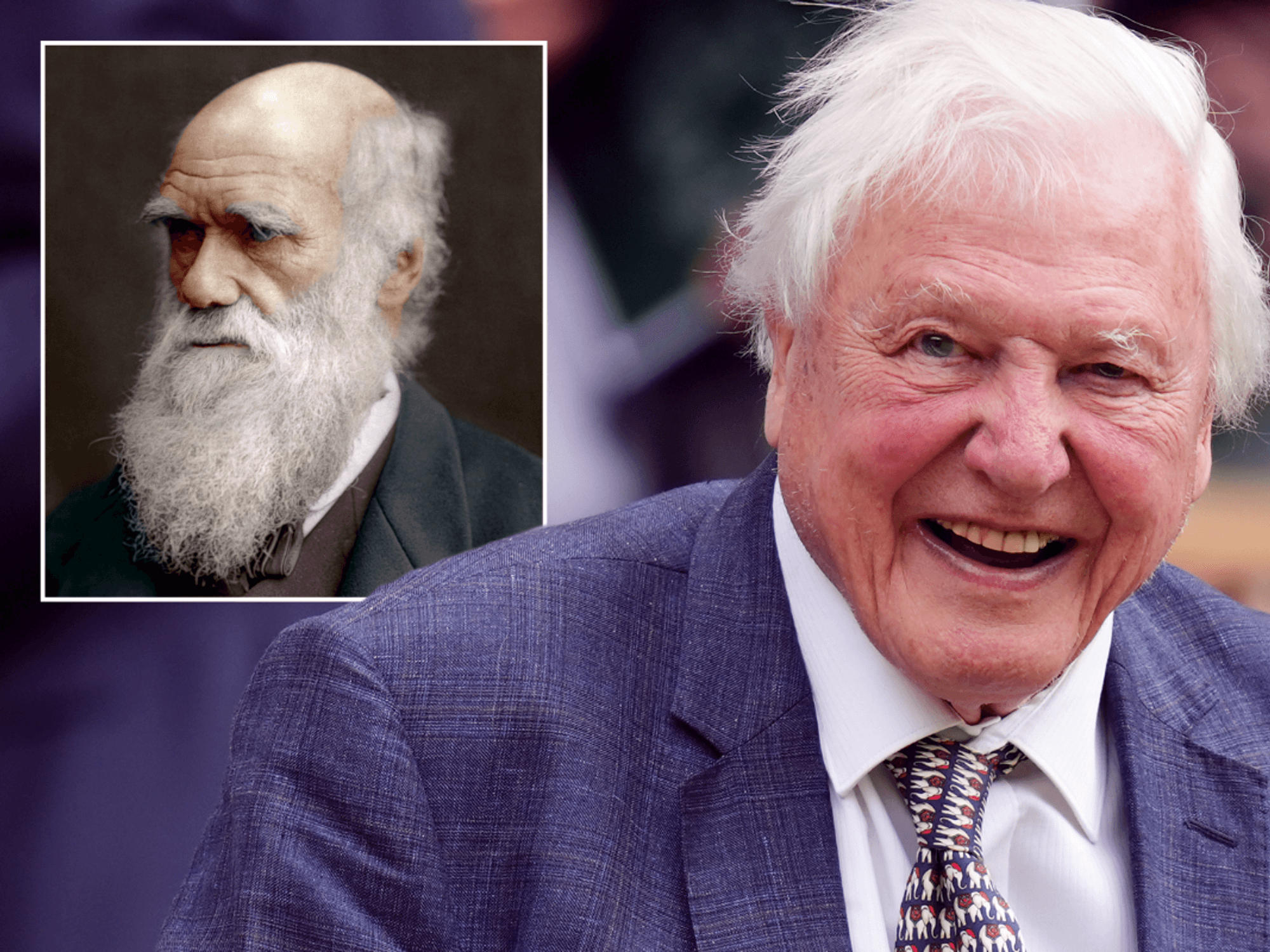 Sir David Attenborough's surprising family ties to Charles Darwin revealed as star turns 100