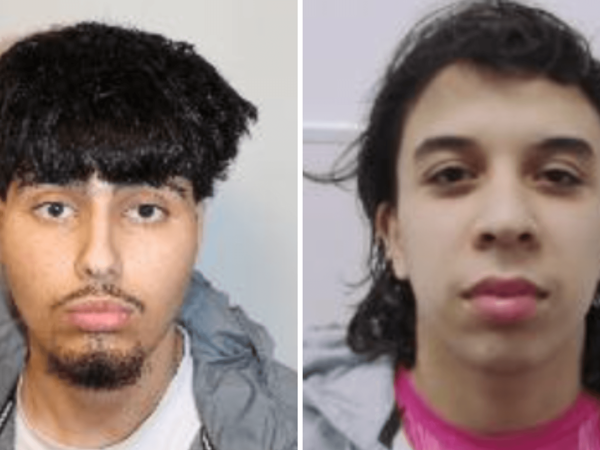 Two men admit to antisemitic hate crime after harassing Jewish people in London TikTok videos