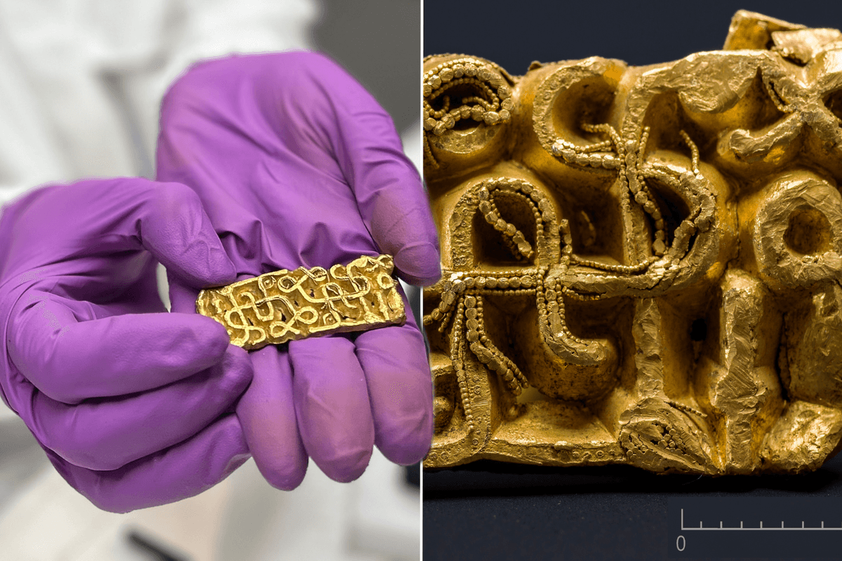 Hiker 'didn't understand what he was seeing' after 1,500-year-old treasure emerges from under a tree