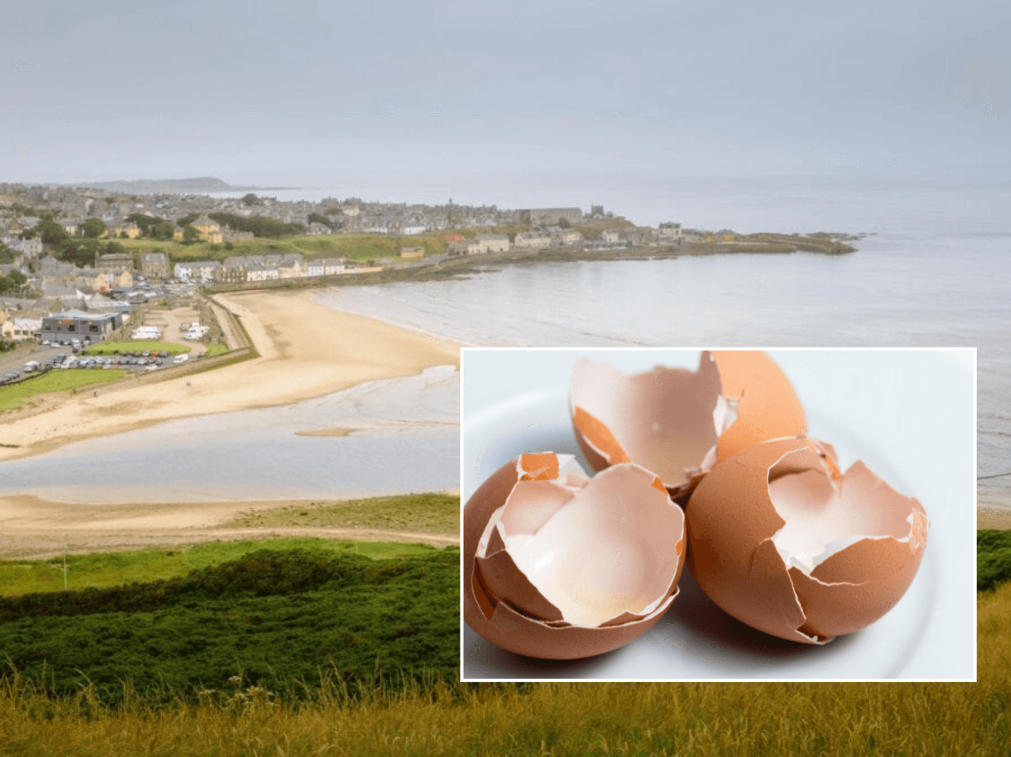 Egg farm fined £53,000 after worker suffered serious nerve damage when arm became trapped in machinery