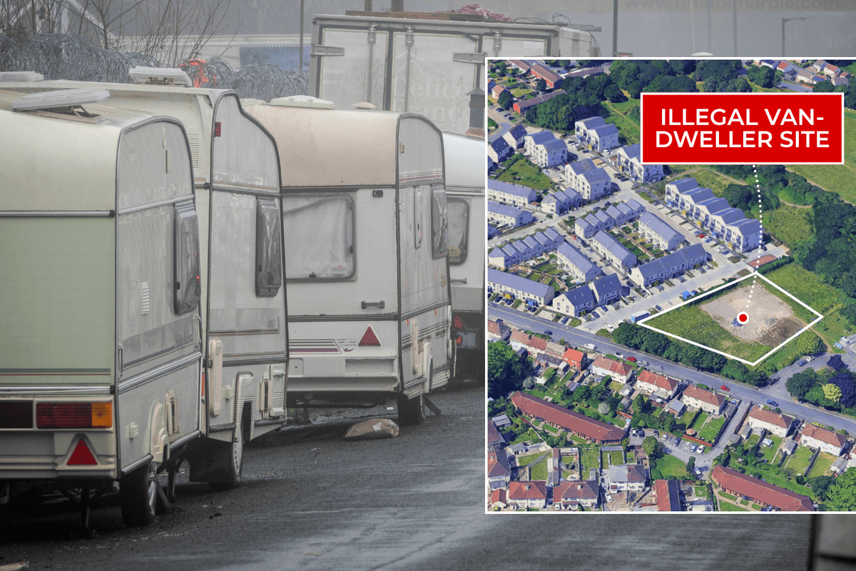 Neighbours rage as Green council plans to turn illegal traveller site into 'safe legal home' for van-dwellers