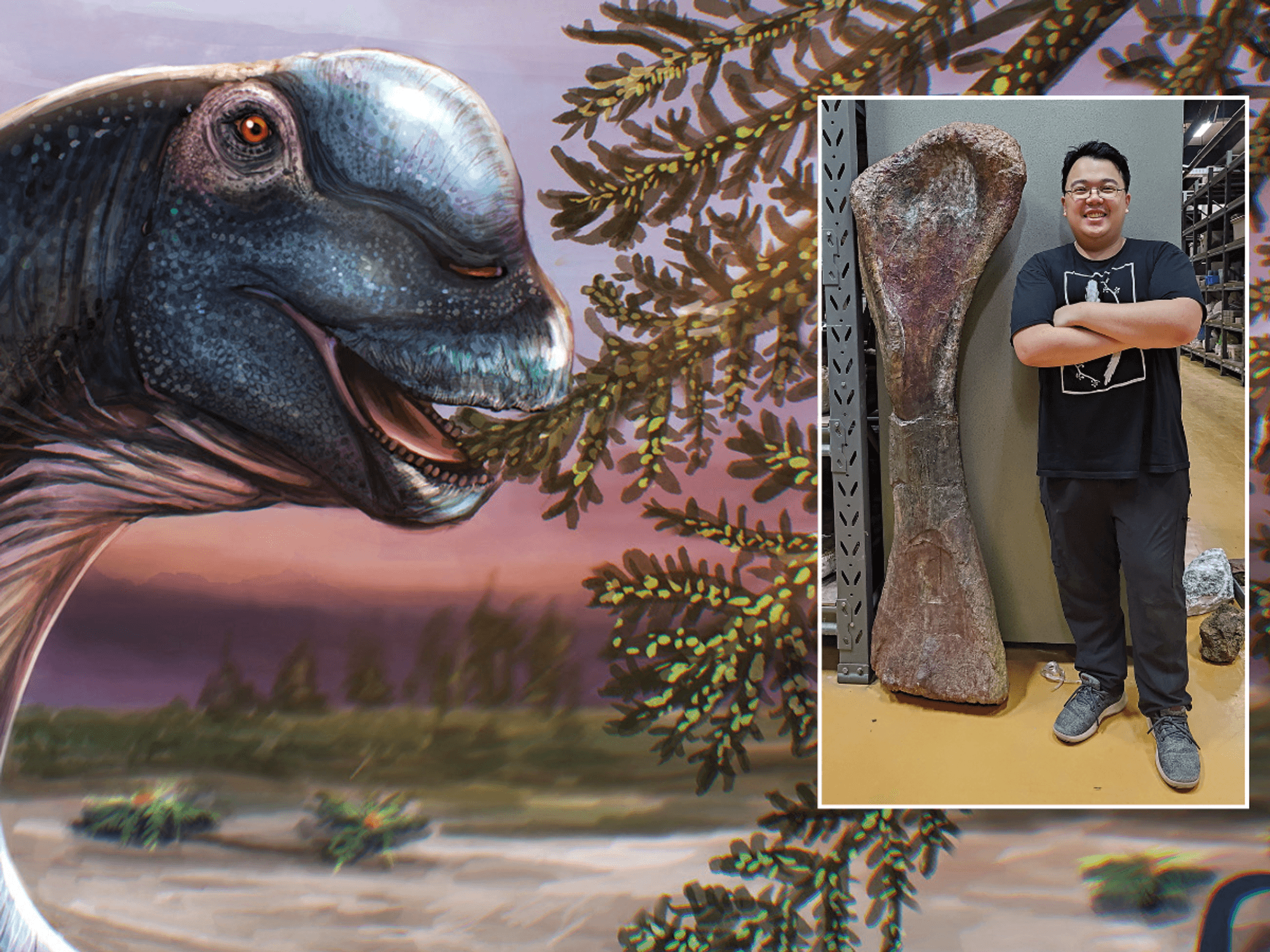 Giant new 88ft dinosaur weighing 27 tonnes discovered by British researchers from fossils in Thailand