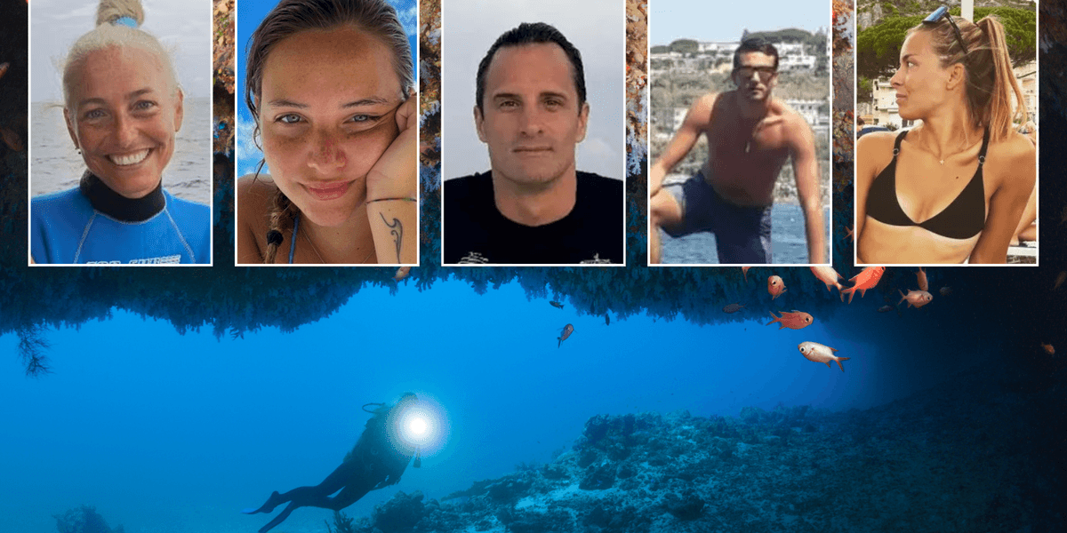 Maldives dive deaths: Student emerges as sole survivor of horror Maldives dive tragedy after last-minute decision