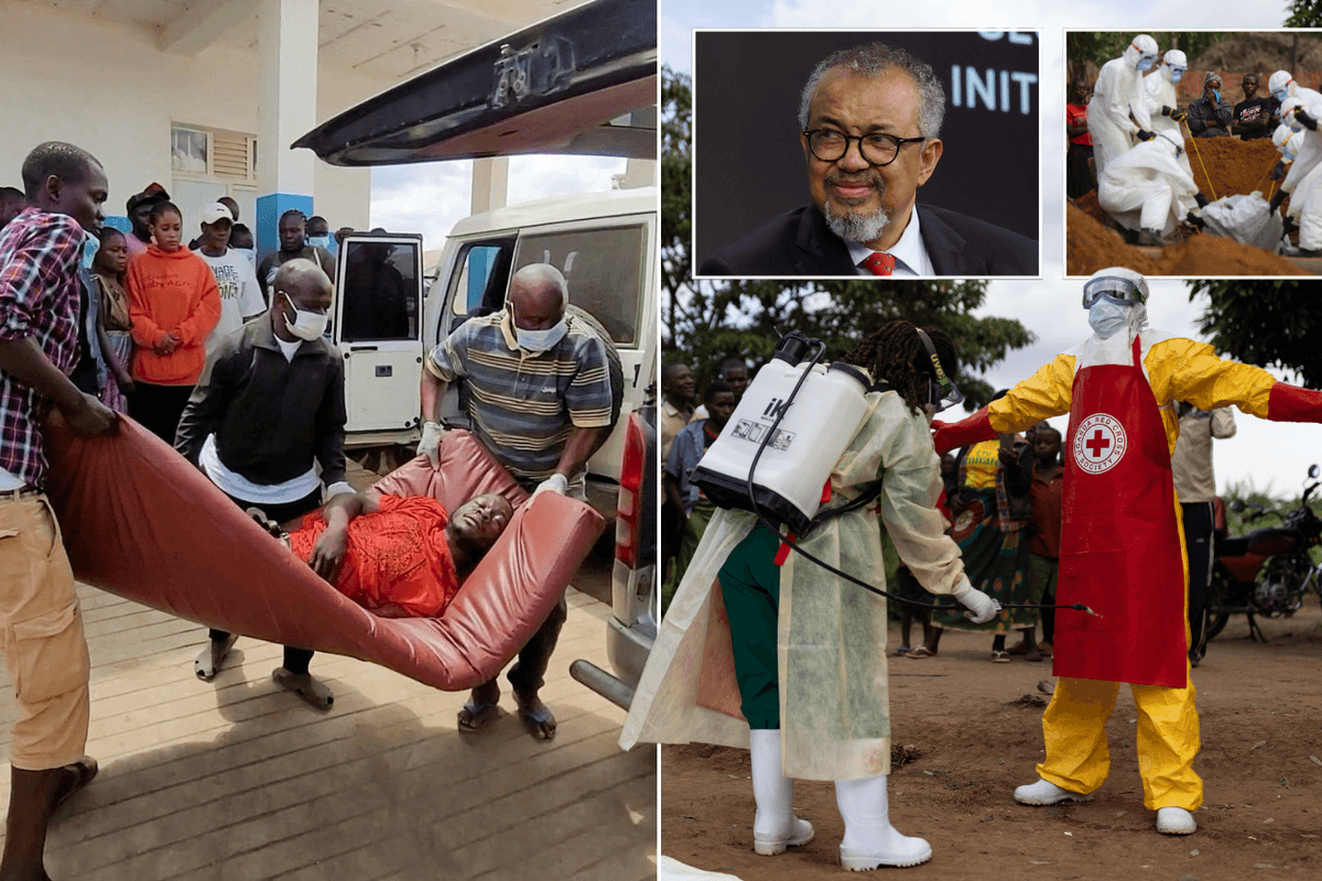 WHO declares 'international emergency' after more than 80 people die in undetected Ebola epidemic