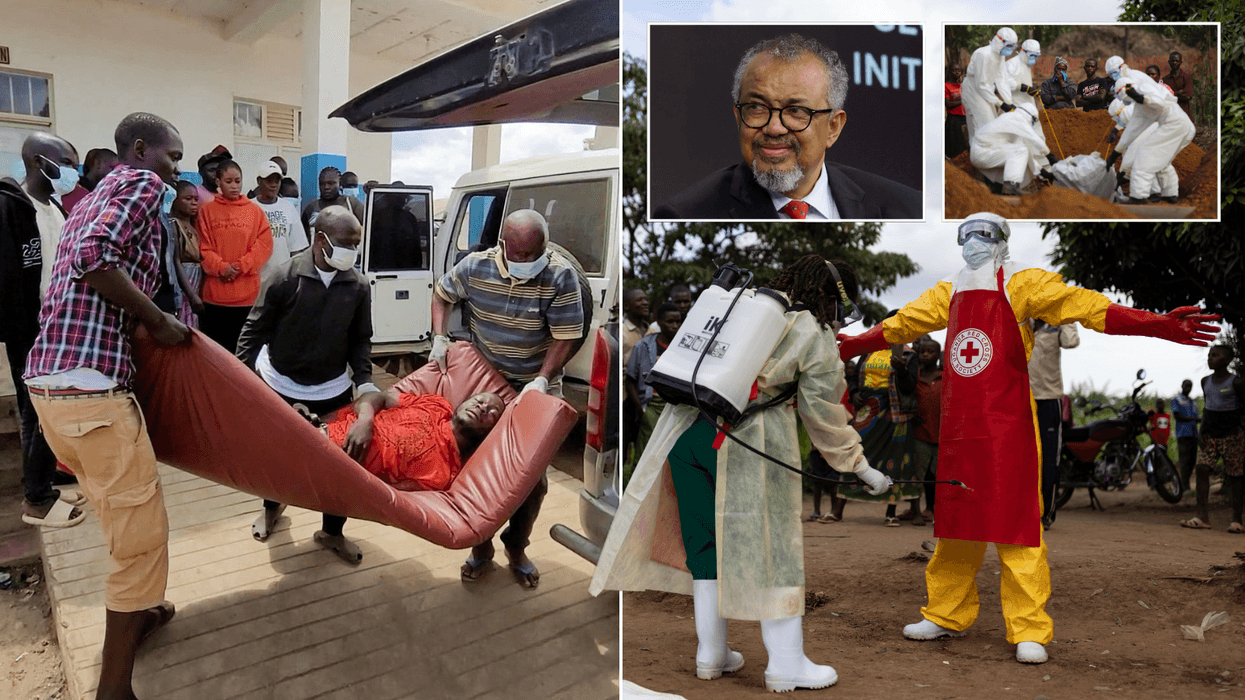 WHO declares 'international emergency' after more than 80 people die in undetected Ebola epidemic